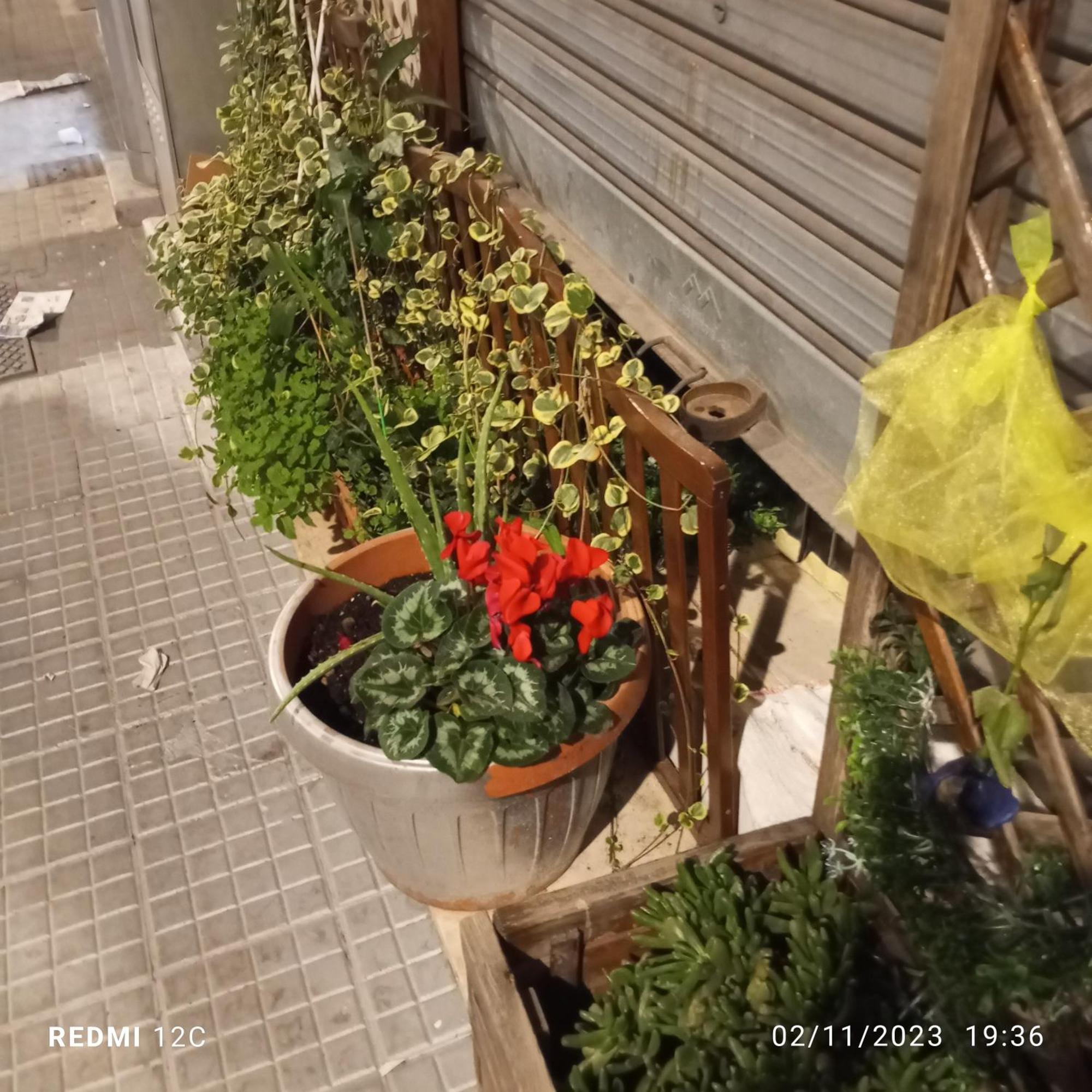 The Nest Of Envy Apartment บารี ภายนอก รูปภาพ